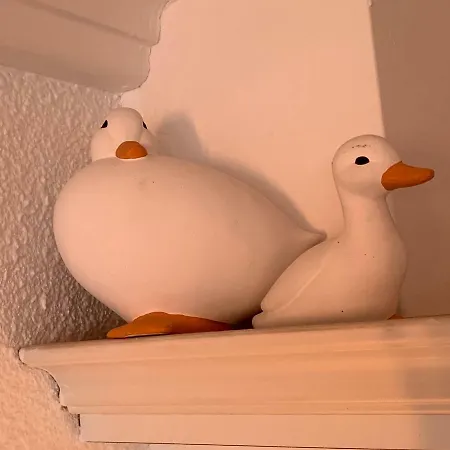 Apartamento Les Pieds Dans L'eau Acces Direct A La ! Granville