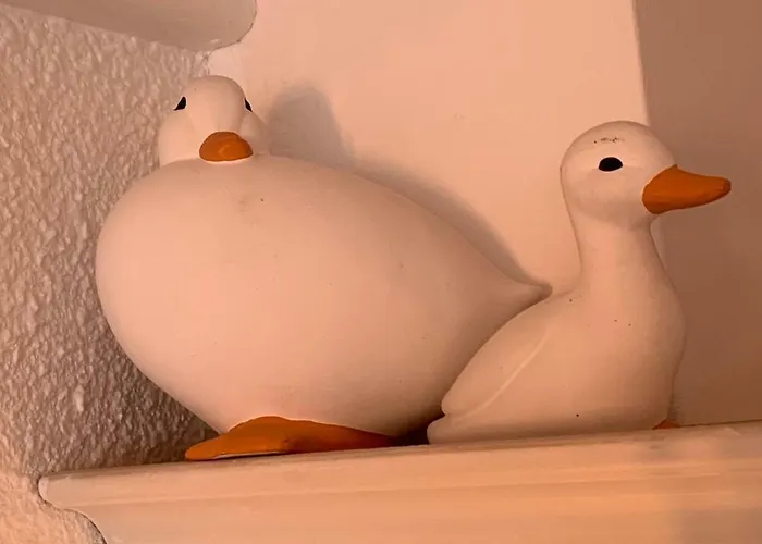 Apartamento Les Pieds Dans L'eau Accès Direct à La ! Granville